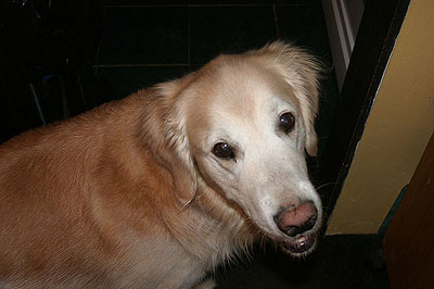 Seamus